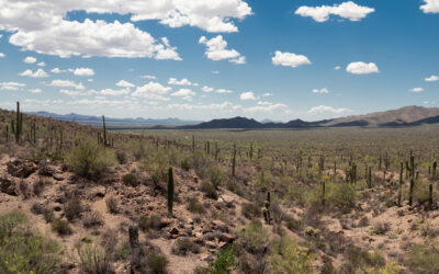 Photodocumentaire « La sécheresse et ses solutions en débat en Arizona », Anne-Lise Boyer, Brigitte Juanals et Jean-Luc Minel